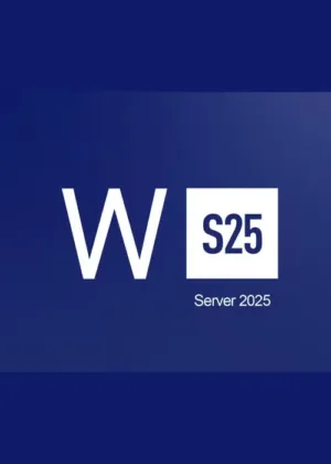 Eredeti Microsoft Windows Server 2025 Standard termékkulcs azonnali licenckézbesítéssel!